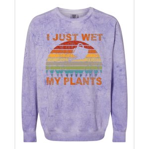 I Just Wet My Plants Gardening Colorblast Crewneck Sweatshirt