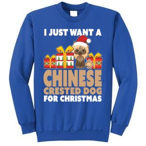 I Just Want A Chinese Crested Dog For Christmas Gift Sweatshirt