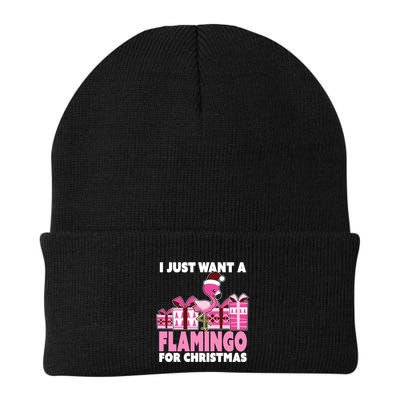 I Just Want A Flamingo For Christmas Flamingo Christmas Gift Beanie