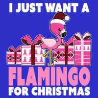 I Just Want A Flamingo For Christmas Flamingo Christmas Gift T-Shirt