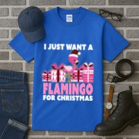 I Just Want A Flamingo For Christmas Flamingo Christmas Gift Tall T-Shirt