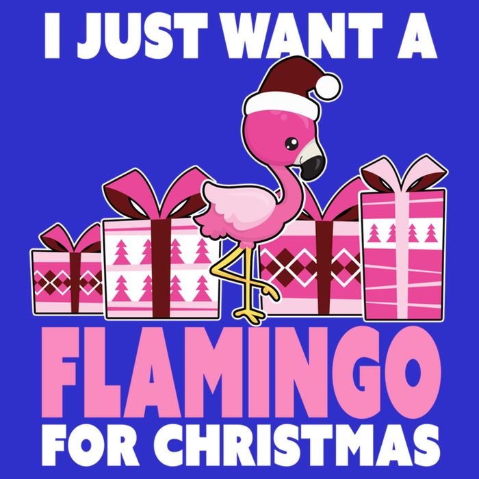 I Just Want A Flamingo For Christmas Flamingo Christmas Gift Tall T-Shirt