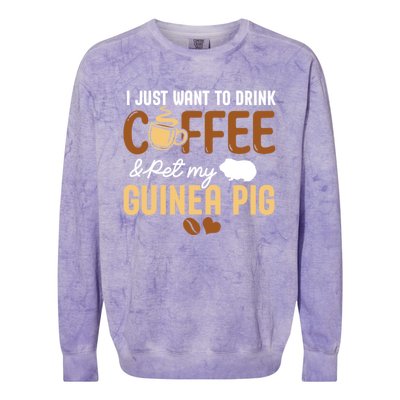 I Just Want To Coffee And Pet My Guinea Pig Lover Cute Cute Gift Colorblast Crewneck Sweatshirt