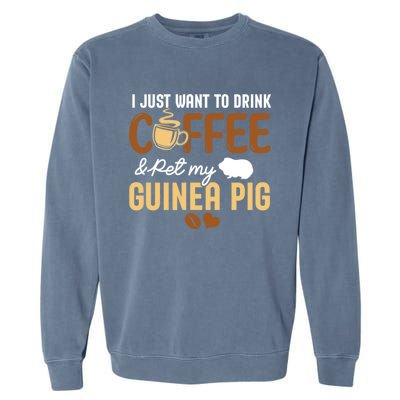 I Just Want To Coffee And Pet My Guinea Pig Lover Cute Cute Gift Garment-Dyed Sweatshirt