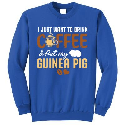 I Just Want To Coffee And Pet My Guinea Pig Lover Cute Cute Gift Sweatshirt