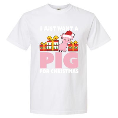 I Just Want A Pig For Christmas Cute Pig Christmas Gift Garment-Dyed Heavyweight T-Shirt