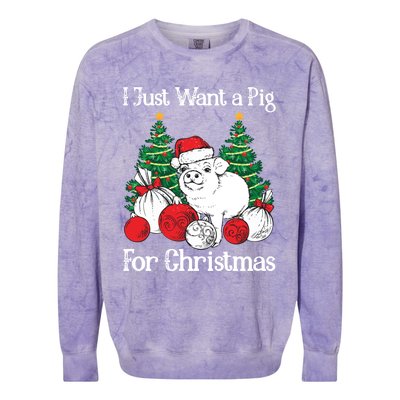 I Just Want A Pig For Christmas Holiday Tree Piglet Cute Gift Colorblast Crewneck Sweatshirt