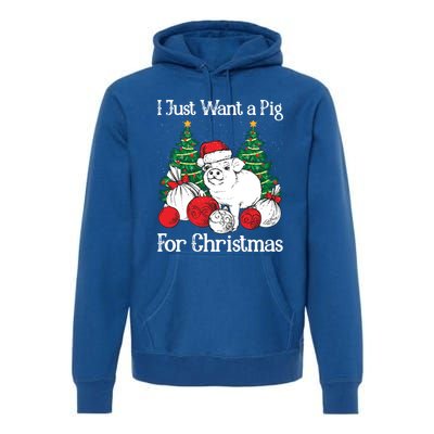 I Just Want A Pig For Christmas Holiday Tree Piglet Cute Gift Premium Hoodie