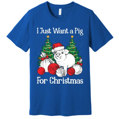 I Just Want A Pig For Christmas Holiday Tree Piglet Cute Gift Premium T-Shirt