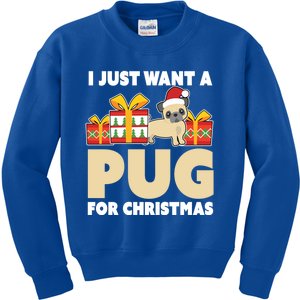 I Just Want A Pug For Christmas Cute Pug Owner Christmas Gift Kids Sweatshirt