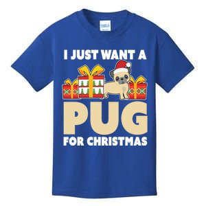 I Just Want A Pug For Christmas Cute Pug Owner Christmas Gift Kids T-Shirt