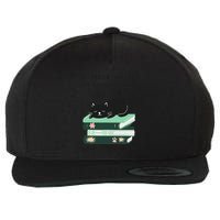 I Just Want To Read Books And Pet Cats Funny Reading Cat Wool Snapback Cap