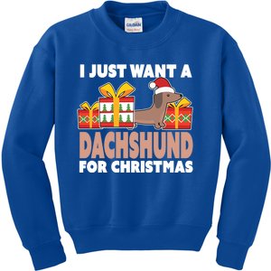 I Just Want A Dachshund For Christmas Dachshund Christmas Gift Kids Sweatshirt