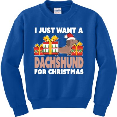 I Just Want A Dachshund For Christmas Dachshund Christmas Gift Kids Sweatshirt