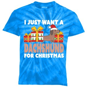 I Just Want A Dachshund For Christmas Dachshund Christmas Gift Kids Tie-Dye T-Shirt