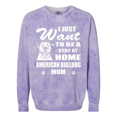 I Just Want Stay At Home American Bulldog Mom Christmas Gift Colorblast Crewneck Sweatshirt