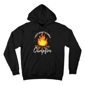 I Just Want To Smell Like A Campfire Gift Funny Camping Hoodie