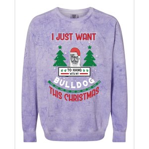 I Just Want To Hang With My Bulldog This Christmas Gift Colorblast Crewneck Sweatshirt