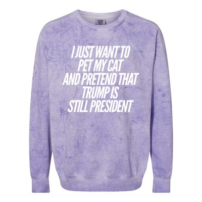 I Just Want To Pet My Cat And Pretend That Trump President Gift Colorblast Crewneck Sweatshirt