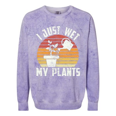 I Just Wet My Plants Gardening & Plant Lover Funny Gardener Colorblast Crewneck Sweatshirt