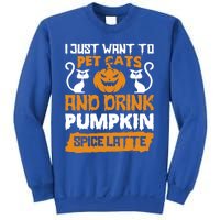 I Just Want To Pet Cats And Pumpkin Spice Lattes Gift Sweatshirt