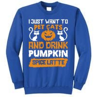 I Just Want To Pet Cats And Pumpkin Spice Lattes Gift Tall Sweatshirt