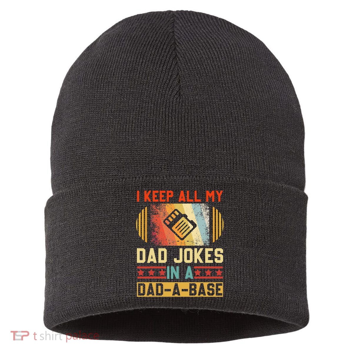 I Keep All My Dad Jokes In A DadABase Vintage Fathers Day Sustainable Knit Beanie