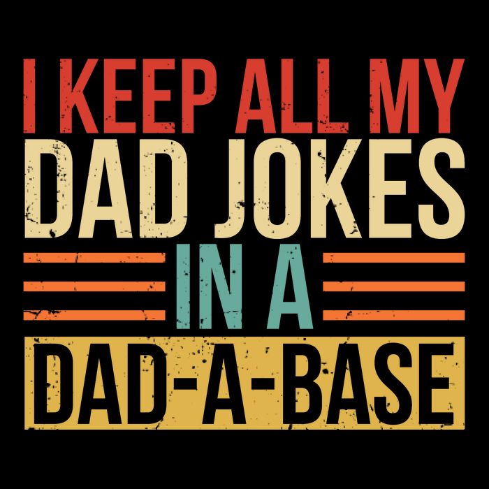 I Keep All My Dad Jokes In A Dadabase Tall T-Shirt