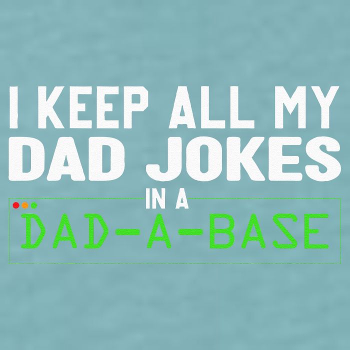 I Keep All My Dad Jokes In A Dad A Base Dad Sarcastic Funny Sueded Cloud Jersey T-Shirt