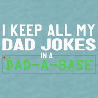 I Keep All My Dad Jokes In A Dad A Base Dad Sarcastic Funny Sueded Cloud Jersey T-Shirt