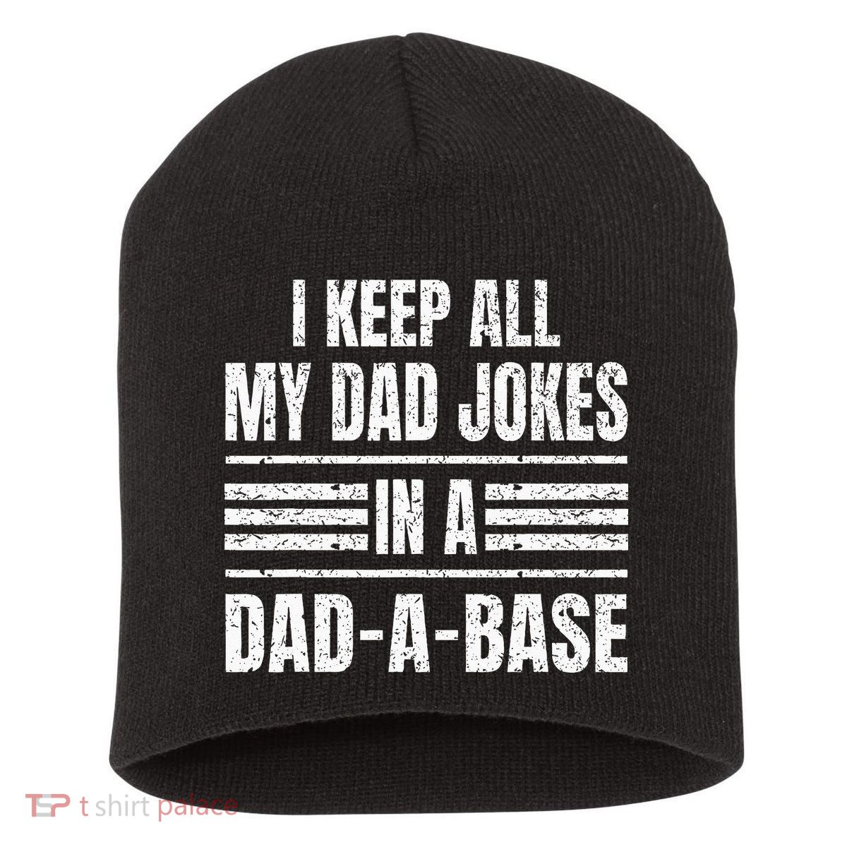 I Keep All My Dad Jokes In A DadABase Vintage Father's Day Short Acrylic Beanie