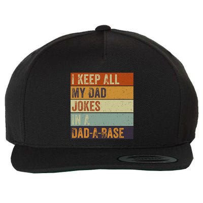 I Keep All My Dad Jokes In A Dadabase Vintage Father Dad Wool Snapback Cap