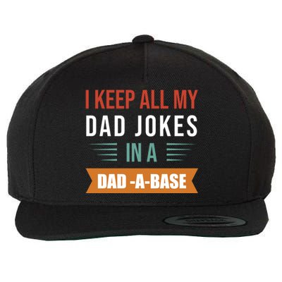 I Keep All My Dad Jokes Father T Wool Snapback Cap