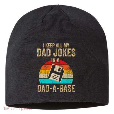 I Keep All My Dad Jokes In A Dadabase Vintage Fathers Day Sustainable Beanie