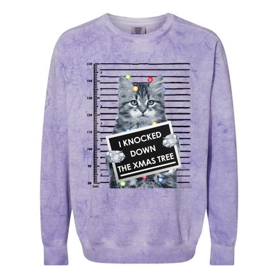 I Knocked Down The Xmas Tree Funny Christmas Kitty Cat Lover Cool Gift Colorblast Crewneck Sweatshirt