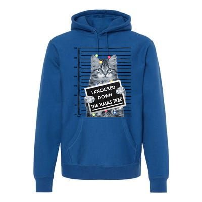 I Knocked Down The Xmas Tree Funny Christmas Kitty Cat Lover Cool Gift Premium Hoodie