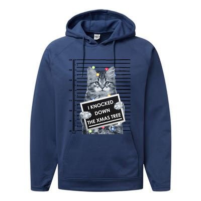 I Knocked Down The Xmas Tree Funny Christmas Kitty Cat Lover Cool Gift Performance Fleece Hoodie