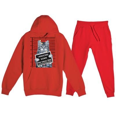 I Knocked Down The Xmas Tree Funny Christmas Kitty Cat Lover Cool Gift Premium Hooded Sweatsuit Set