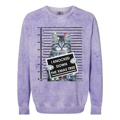 I Knocked Down The Xmas Tree Funny Christmas Kitty Cat Lover Gift Colorblast Crewneck Sweatshirt