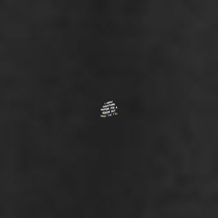 I Know Everything Happens For A Reason But Wtf Tumbler