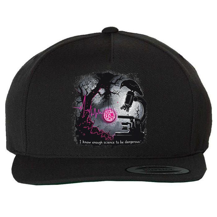 I Know Enough Science To Be Dangerous – Stem Goth Design Wool Snapback Cap