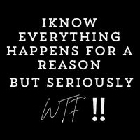 I Know Everything Happens For A Reason But Wtf Funny Baby Bodysuit