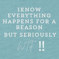 I Know Everything Happens For A Reason But Wtf Funny Sueded Cloud Jersey T-Shirt