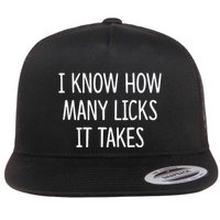 I Know How Many Licks It Takes Flat Bill Trucker Hat