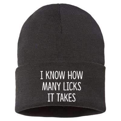 I Know How Many Licks It Takes Sustainable Knit Beanie