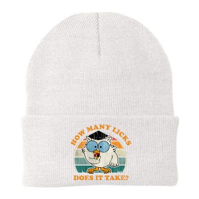 I Know How Many Licks It Takes Funny Owl Distressed Vintage Style Beanie
