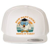 I Know How Many Licks It Takes Funny Owl Distressed Vintage Style Wool Snapback Cap