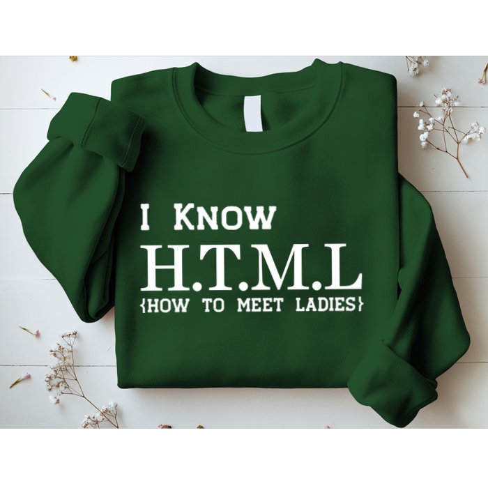 I Know HTML How To Meet Ladies Sweatshirt