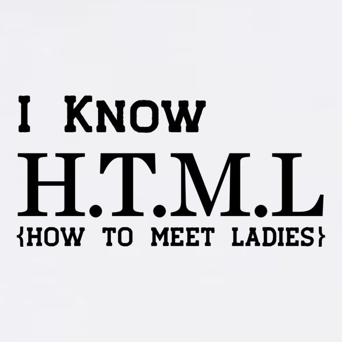 I Know HTML How To Meet Ladies Garment-Dyed Sweatshirt