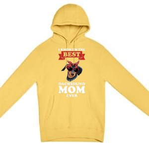 I Know I'm The Best Dachshund Mom Ever Wiener Cool Gift Premium Pullover Hoodie